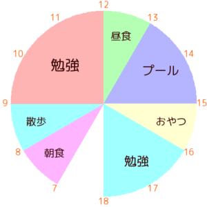 一日のスケジュールを円グラフで作成する サイト運営 新米メモ